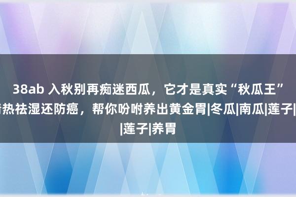 38ab 入秋别再痴迷西瓜，它才是真实“秋瓜王”！清热祛湿还防癌，帮你吩咐养出黄金胃|冬瓜|南瓜|莲子|养胃