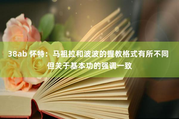 38ab 怀特：马祖拉和波波的握教格式有所不同 但关于基本功的强调一致