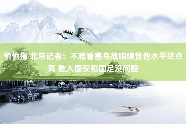 偷偷撸 北京记者：不雅看塞鸟放哨嗅觉他水平终点高 融入国安和国足没问题