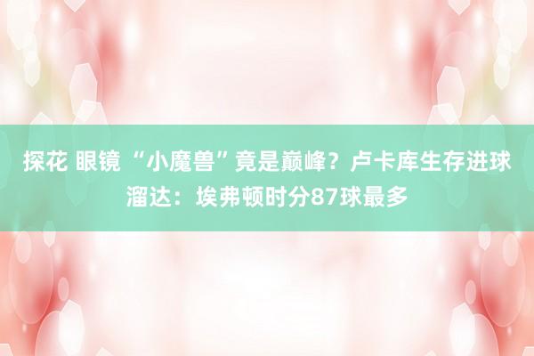 探花 眼镜 “小魔兽”竟是巅峰？卢卡库生存进球溜达：埃弗顿时分87球最多